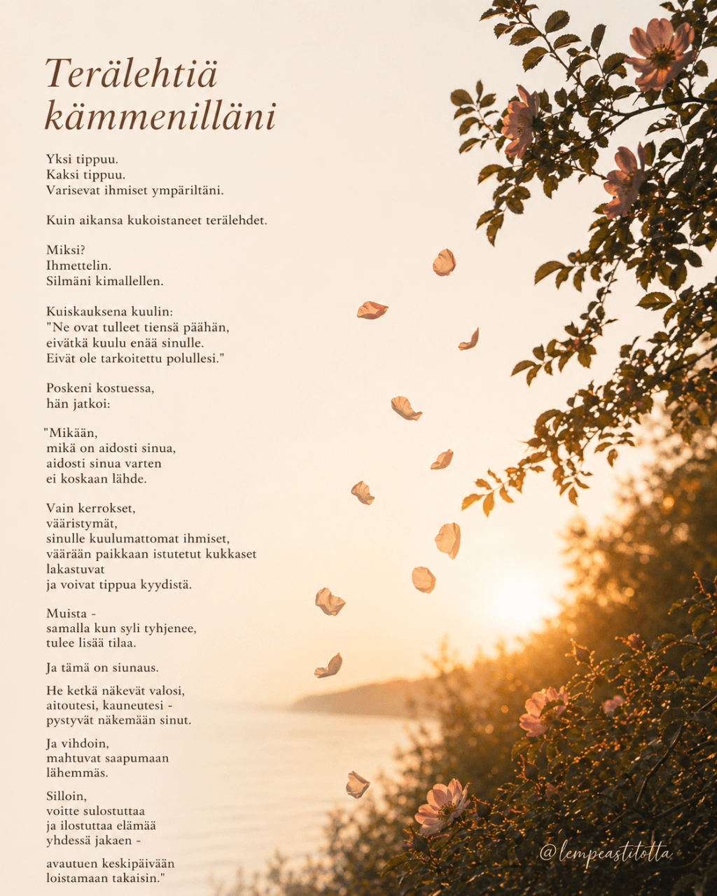Terälehtiä kämmenilläni