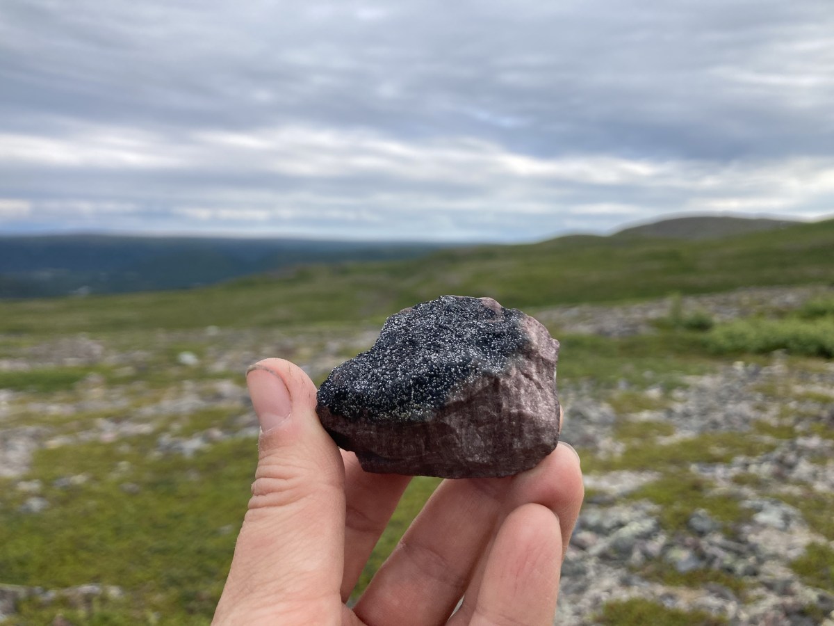 Luonnon kuiskailuja pohjoisen&nbsp;reissulta